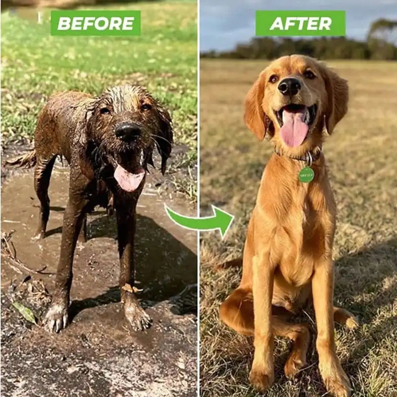 DogCatFri™ PetShower: Built-in Shampoo Water Hose